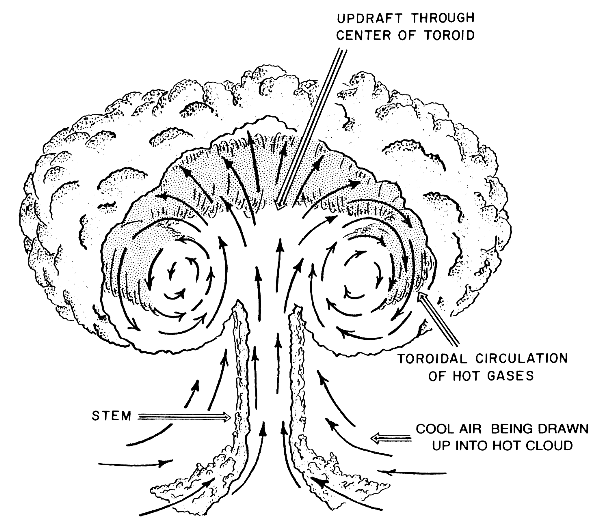 Image result for mushroom explosion explained