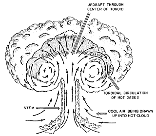 Diagram of Toroidal Circulation